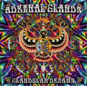 Adrenal Glands – Glandular Dreams