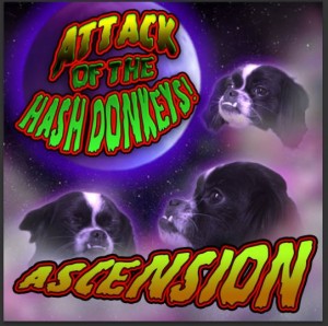 Ascension – Attack Of The Hash Donkeys
