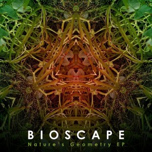 Bioscape – Nature’s Geometry