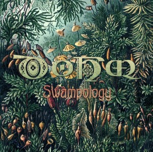 DoHm – Swampology