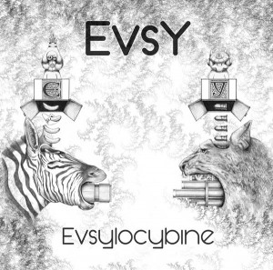 EvsY – Evsylocybine