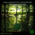 Hallucinated Hologram – The Swamp Journeys