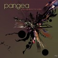 Pangea – Porcupines For Sale