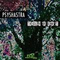 Psyshastra – Through The Forest