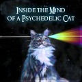 Quantum Universe – Inside The Mind Of A Psychedelic Cat