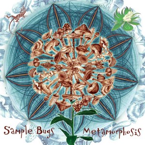 Sample Bugs – Metamorphosis