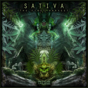 Sativa – The First Harvest