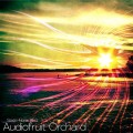Static Noise Bird – Audiofruit Orchard