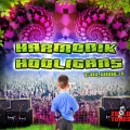 Harmonik Hooligans