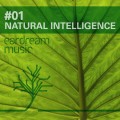 Natural Intelligence 01