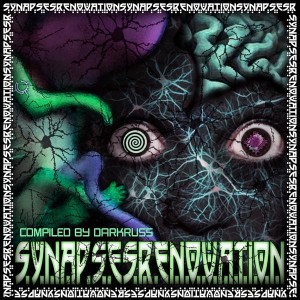 Synapses Renovation