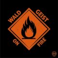 Wald Geist – On Fire